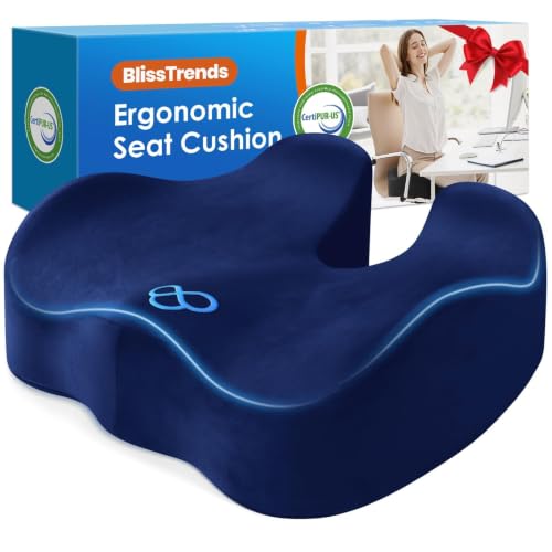 BlissTrends Memory Foam Seat Cushion for Office Chair & Car Seat, Blue