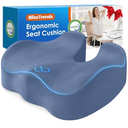 BlissTrends Memory Foam Seat Cushion for Office Chair & Car Seat, LightBlue