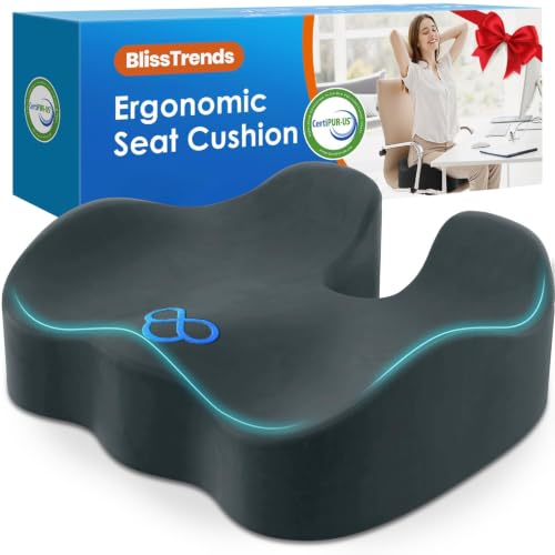 BlissTrends Memory Foam Seat Cushion for Office Chair & Car Seat, Teal Grey