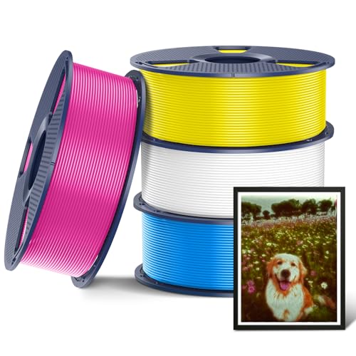 SUNLU PLA+2.0 3D Printer Filament, CMYK Filament, 4-Pack (4KG)