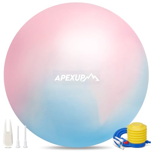 APEXUP Yoga Ball, 660 lbs Anti-Burst Exercise Ball with Pump, 5 Sizes (L(23"~26") 65cm, Blue Pink)