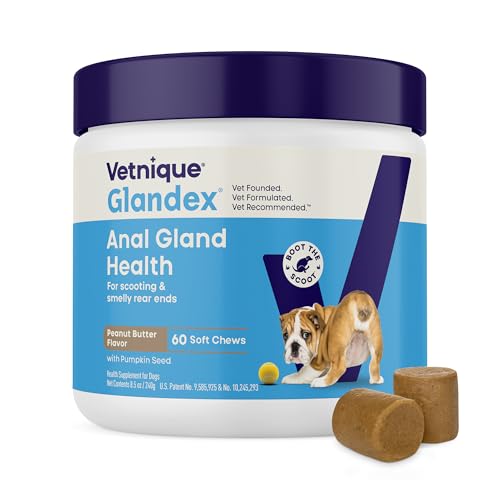 Vetnique Glandex for Dogs Anal Gland Chews 60ct Pumpkin + Digestive Enzymes