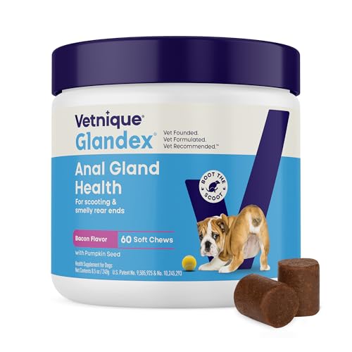 Vetnique Glandex for Dogs Anal Gland Chews 60ct Pumpkin + Digestive Enzymes
