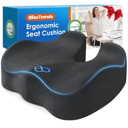 BlissTrends Memory Foam Seat Cushion for Office Chair & Car Seat, Grey
