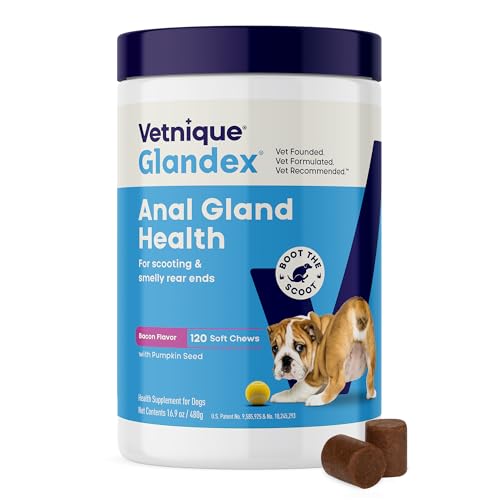 Vetnique Glandex for Dogs Anal Gland Chews 120ct Pumpkin, Digestive Enzymes