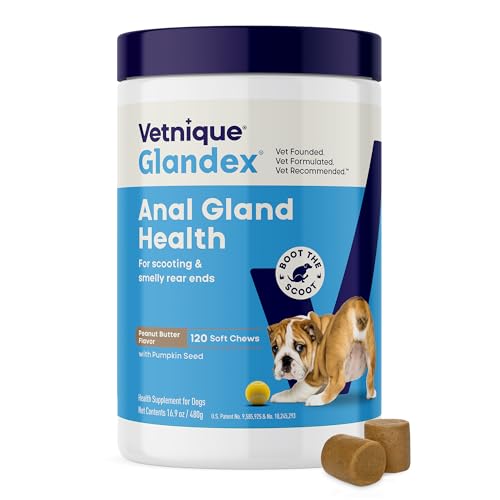 Vetnique Glandex for Dogs Anal Gland Chews 120ct Pumpkin, Digestive Enzymes