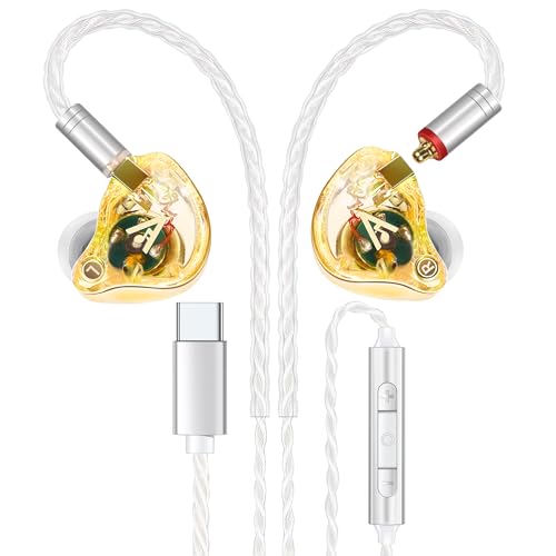 Audiovance Vibes 202MC USB-C HiFi Wired Earbuds, Type-C Headphones with Mic