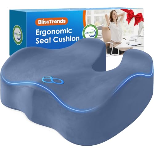 BlissTrends Thick Seat Cushion for Office Chair & Car Seat, XL, LightBlue