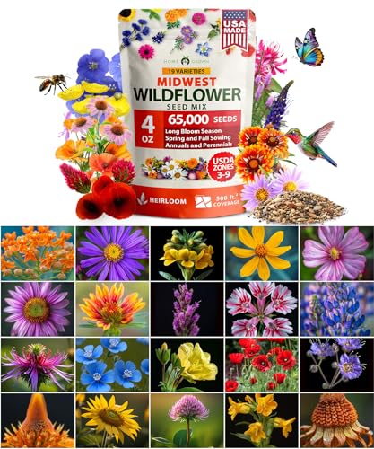 HOME GROWN Midwest Wildflower Mix 65,000+ Flower Seeds 4 oz