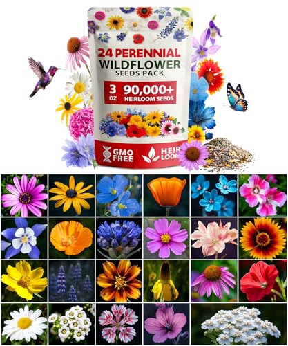 HOME GROWN 24 Wildflower Variety Mix 90,000+ Flower Seeds 3 oz
