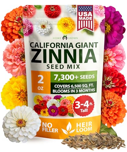 HOME GROWN Zinnia California Giant Seeds 2 oz, 7,300+ Seeds, Zinnia elegans