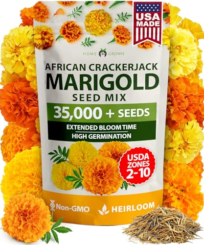 HOME GROWN Crackerjack Marigold Seeds, 35,000 Seeds, 4 oz