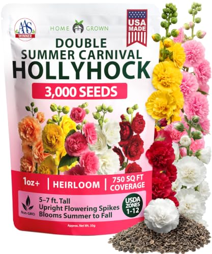 HOME GROWN Hollyhock Summer Carnival Mix 3000 Flower Seeds Alcea rosea