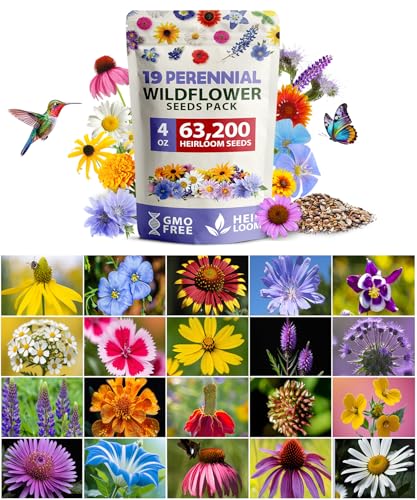 HOME GROWN 19 Wildflower Variety Mix 63,200+ Flower Seeds 4 oz