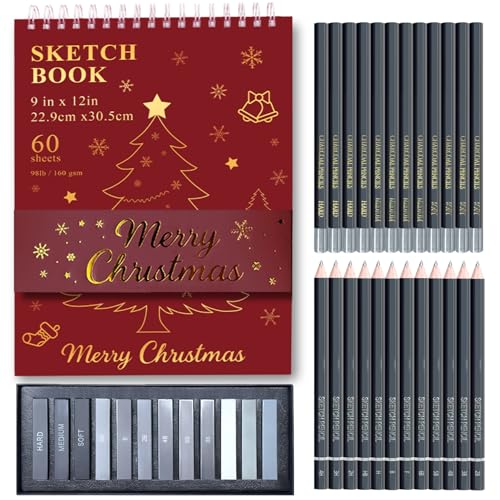 Fuxi Christmas Graphite & Charcoal Sketching Art Kit for Teens, Red