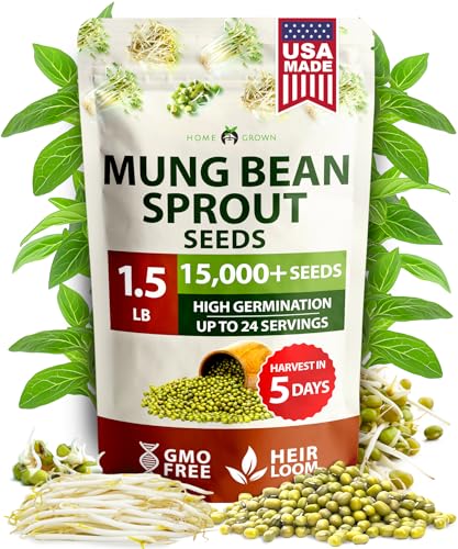 HOME GROWN Mung Bean 15,000+ Sprouting Seeds 1.5 lb Vigna Radiata