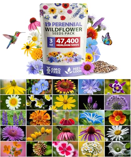 HOME GROWN 19 Wildflower Variety Mix 47,400+ Flower Seeds 3 oz