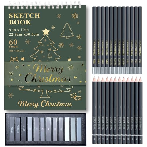 Fuxi Christmas Graphite & Charcoal Sketching Art Kit for Adults, Green