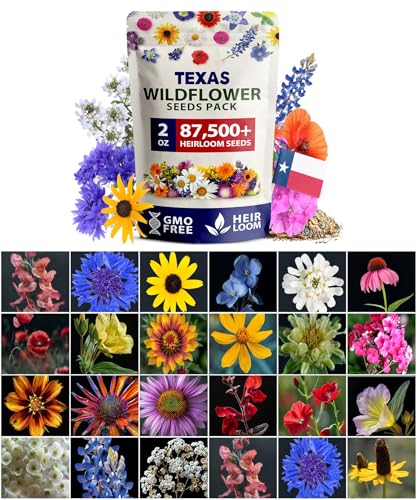 HOME GROWN Texas Wildflower Mix 87,500+ Flower Seeds 2 oz